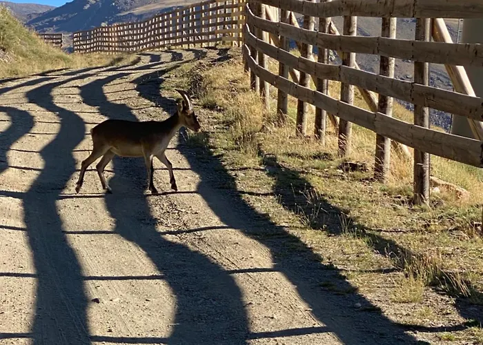 公寓 San Bernardo Zona Alta With Free Garage Parking And Free Wifi 塞拉内华达