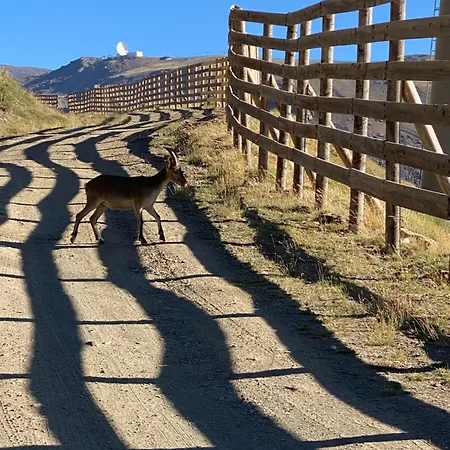 Lägenhet San Bernardo Zona Alta With Free Garage Parking And Free Wifi Sierra Nevada